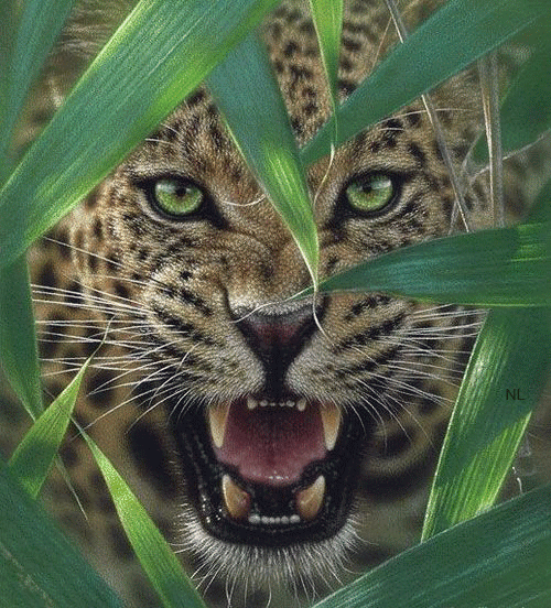 Привет от леопарда~Анимационные блестящие открытки GIF