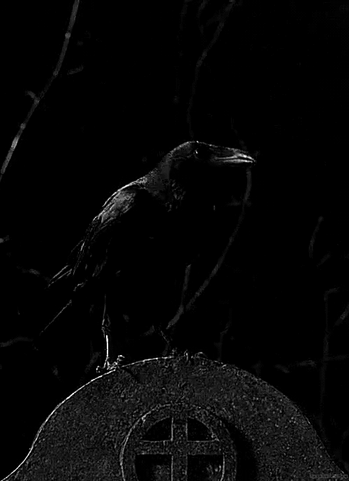 Черный ворон~Анимационные блестящие открытки GIF