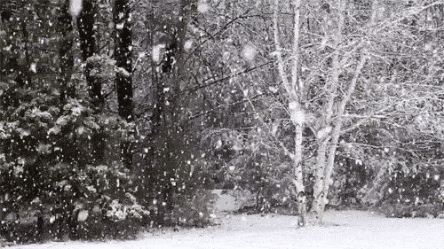Зима фото~Анимационные блестящие открытки GIF