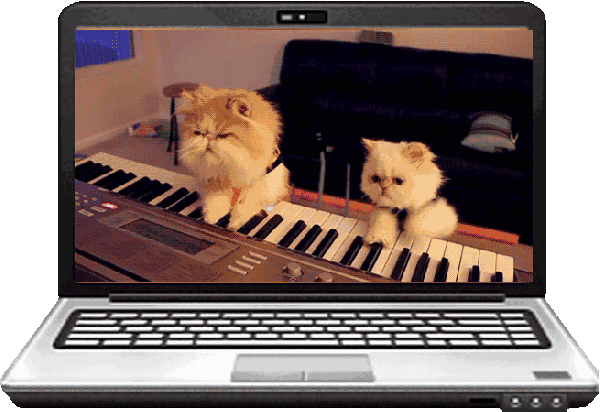 котята-пианисты~Анимационные блестящие открытки GIF