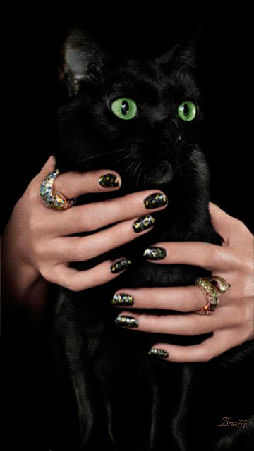 Черный кот~Анимационные блестящие открытки GIF