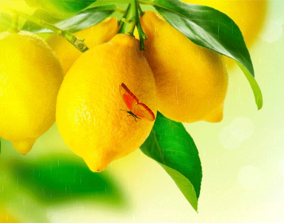 Спелые лимоны~Анимационные блестящие открытки GIF