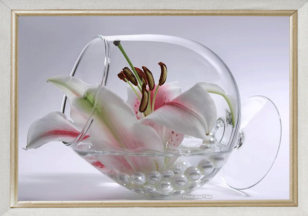 Белая лилия в стеклянном бокале~Анимационные блестящие открытки GIF