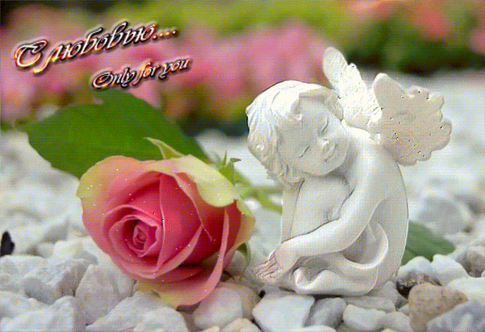 Ангел и розы~Анимационные блестящие открытки GIF