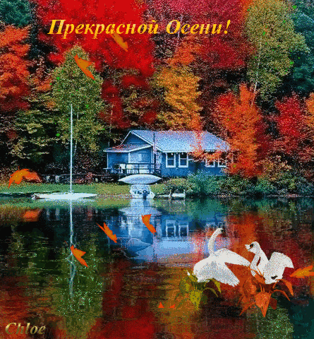 Свежая осень на воде~Анимационные блестящие открытки GIF