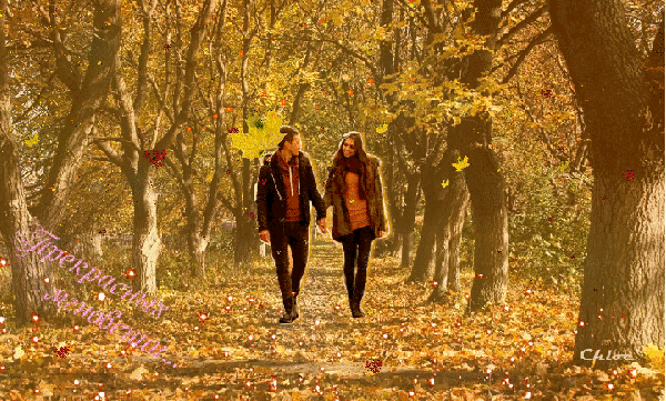 Осенний лес~Анимационные блестящие открытки GIF