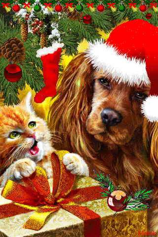 Котёнок и собака - Новогодние обои на телефон открытки и картинки