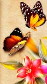 Картинка с бабочками - Бабочки открытки и картинки