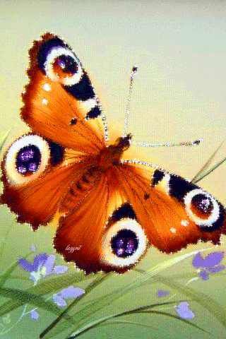 Бабочка павлиний глаз~Анимационные блестящие открытки GIF