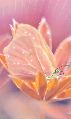Кремовая бабочка~Анимационные блестящие открытки GIF