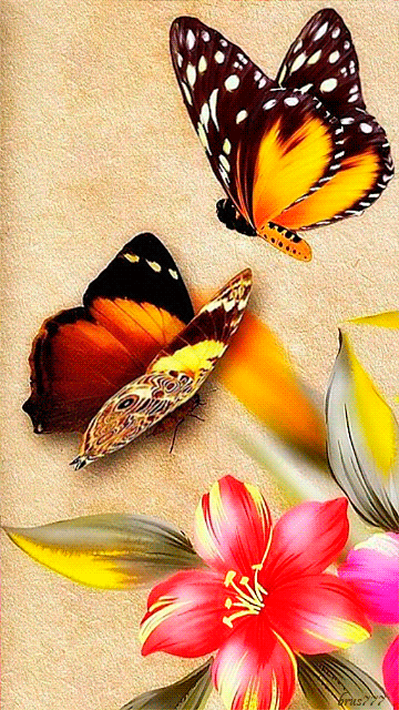 Картинка с бабочками~Анимационные блестящие открытки GIF