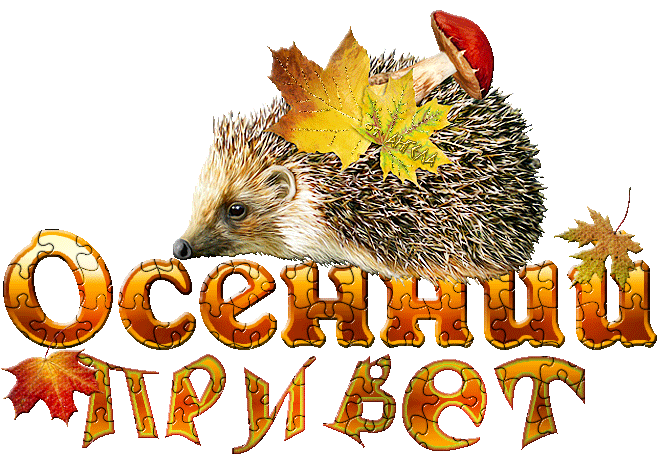 Осенний привет!~Анимационные блестящие открытки GIF