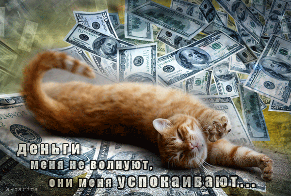 Кот и доллары~Анимационные блестящие открытки GIF