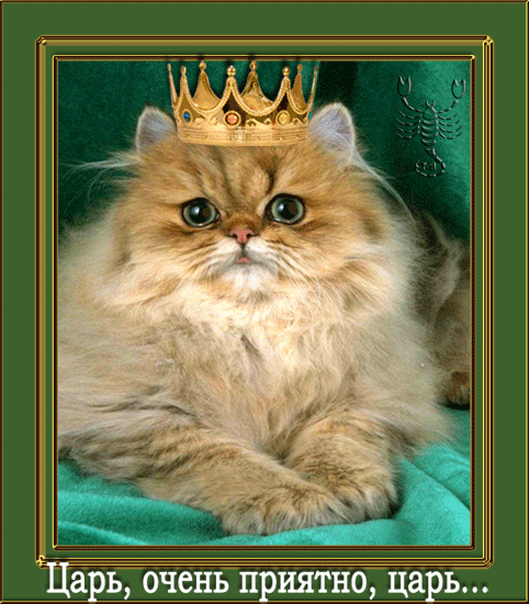 Царь…, очень приятно, царь...~Анимационные блестящие открытки GIF