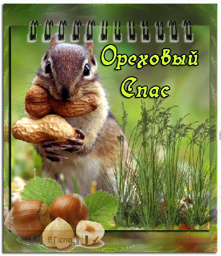 Ореховый Спас - Белочка с орехами~Анимационные блестящие открытки GIF