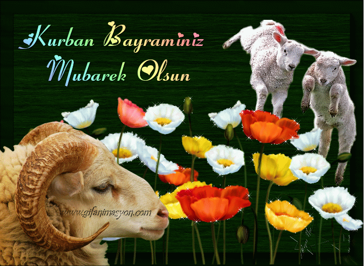 С праздником Курбан-Байрам~Анимационные блестящие открытки GIF