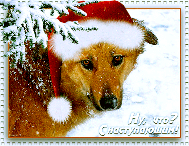 С Наступающим годом Собаки~Анимационные блестящие открытки GIF