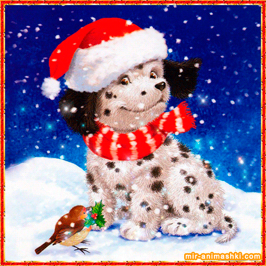 Собачка в новогоднем колпаке~Анимационные блестящие открытки GIF