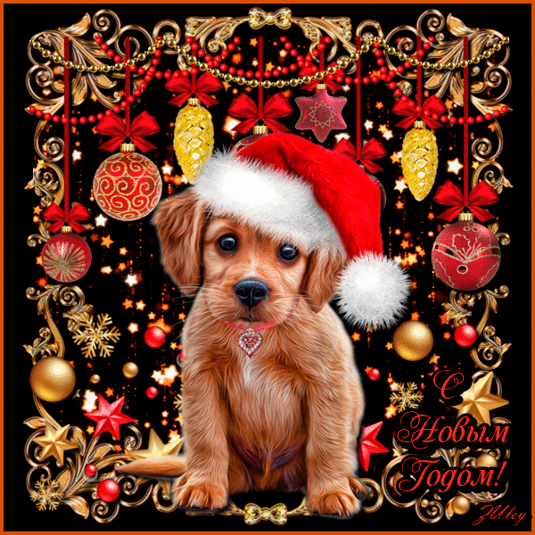 Поздравления с новым годом собаки~Анимационные блестящие открытки GIF