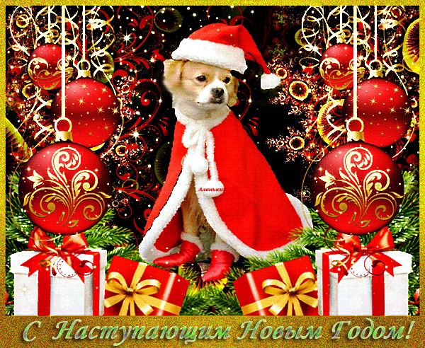 Новогодняя открытка с собакой~Анимационные блестящие открытки GIF