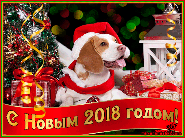 C новым годом собаки открытка анимационная~Анимационные блестящие открытки GIF