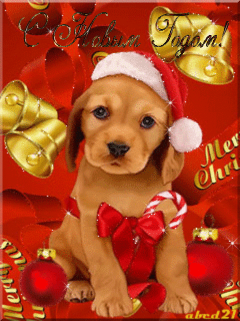 Новогодняя открытка с собачкой~Анимационные блестящие открытки GIF