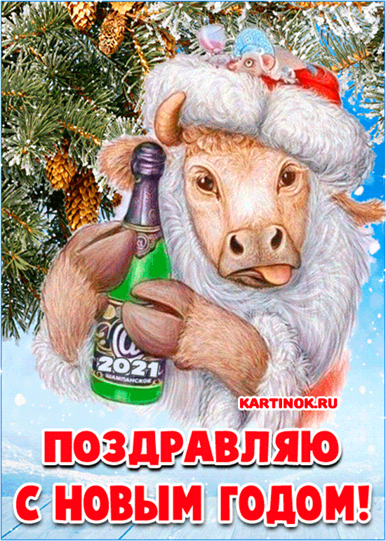 Поздравляю с Новым годом Белого быка - Год Быка открытки и картинки