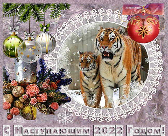 С Наступающим годом с тиграми~Анимационные блестящие открытки GIF