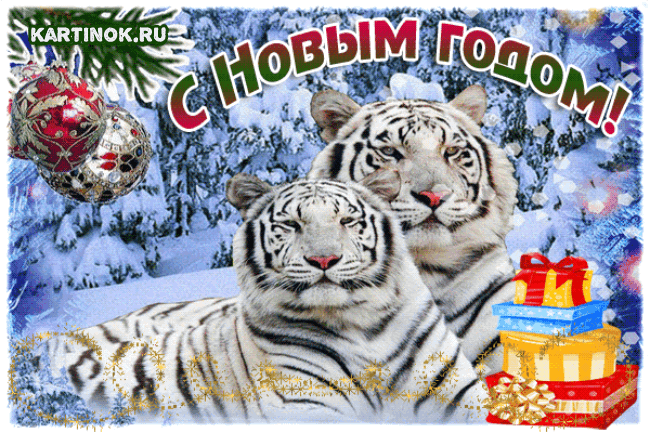 Открытка с Новым годом тигра~Анимационные блестящие открытки GIF