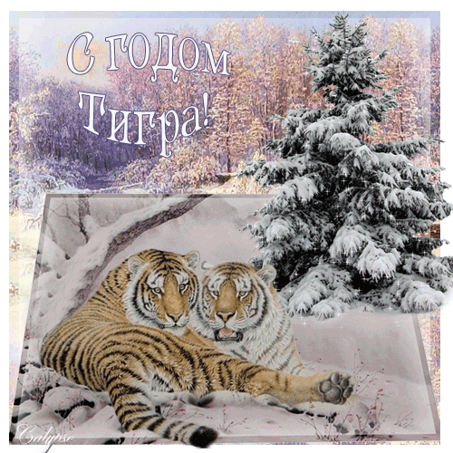 Открытка с новым годом Тигра~Анимационные блестящие открытки GIF