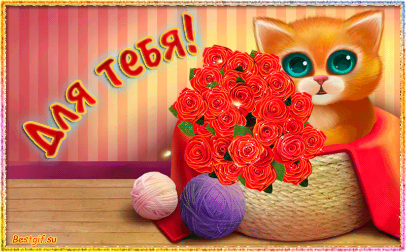 Котенок в корзинке с букетом роз Для тебя~Анимационные блестящие открытки GIF