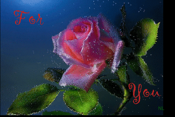 Роза для тебя~Анимационные блестящие открытки GIF