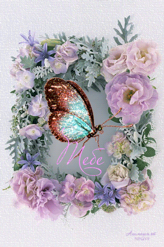 Бабочка тебе~Анимационные блестящие открытки GIF