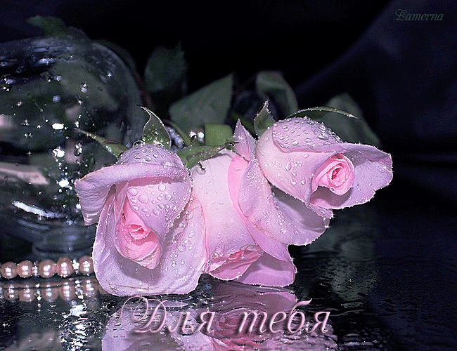 Живые розы для Тебя~Анимационные блестящие открытки GIF