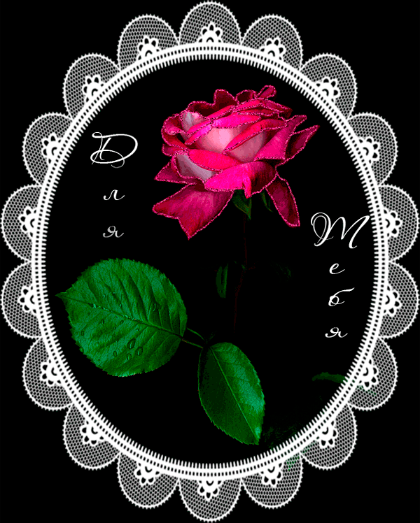Роза с надписью для тебя~Анимационные блестящие открытки GIF