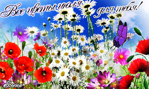 Все цветы июля для тебя!~Анимационные блестящие открытки GIF