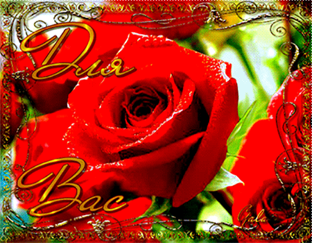 Розы для Вас~Анимационные блестящие открытки GIF