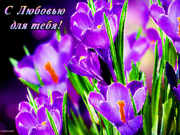 С Любовью для тебя весенние цветы~Анимационные блестящие открытки GIF
