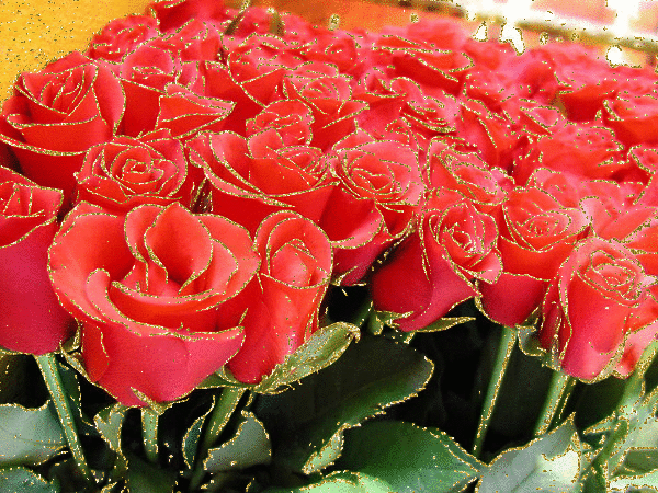 Красивые розы~Анимационные блестящие открытки GIF