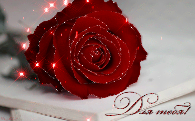 Мерцание розы для тебя~Анимационные блестящие открытки GIF