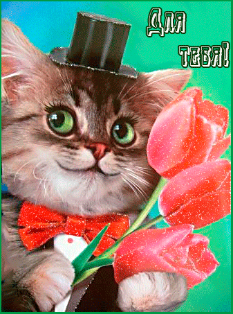 Для тебя тюльпаны~Анимационные блестящие открытки GIF