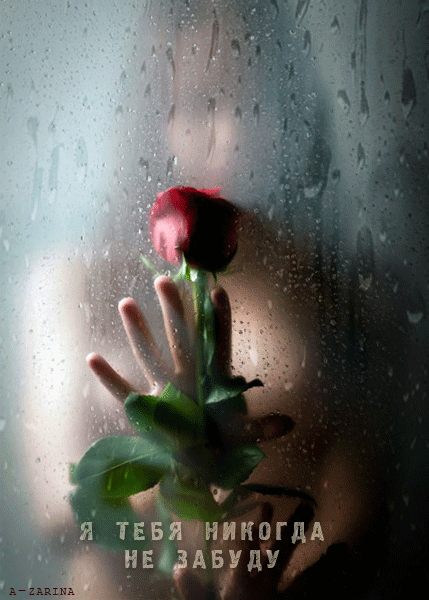 роза за стеклом - Любовь открытки и картинки
