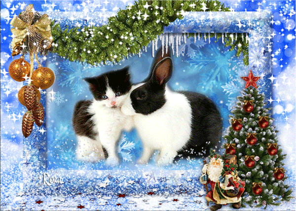 Новогодний кролик и кот - Год кролика открытки и картинки