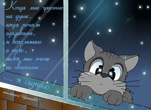 Грустный котик~Анимационные блестящие открытки GIF