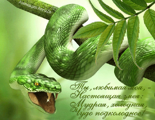 Стихи про змею~Анимационные блестящие открытки GIF