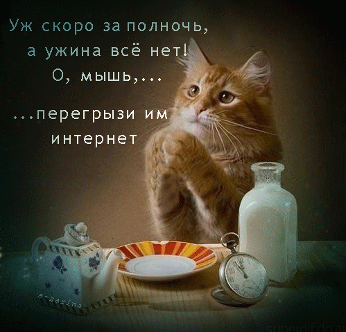 Молитва голодного кота~Анимационные блестящие открытки GIF