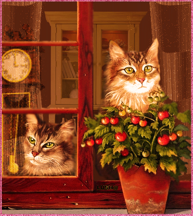 Кошки на окошке~Анимационные блестящие открытки GIF