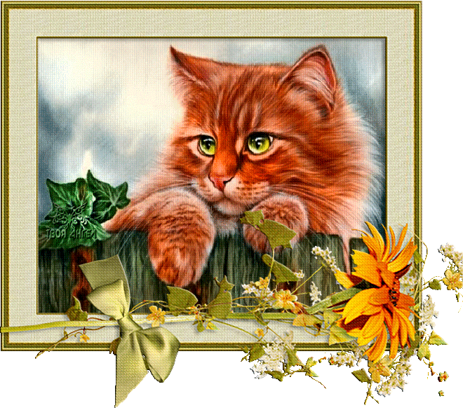 Рыжий кот на заборе~Анимационные блестящие открытки GIF
