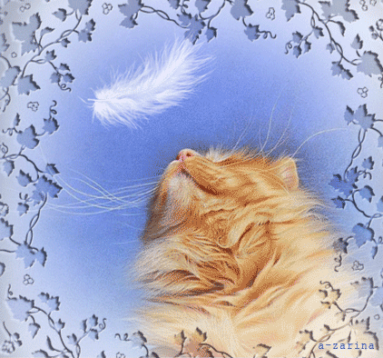 Кот и пёрышко~Анимационные блестящие открытки GIF