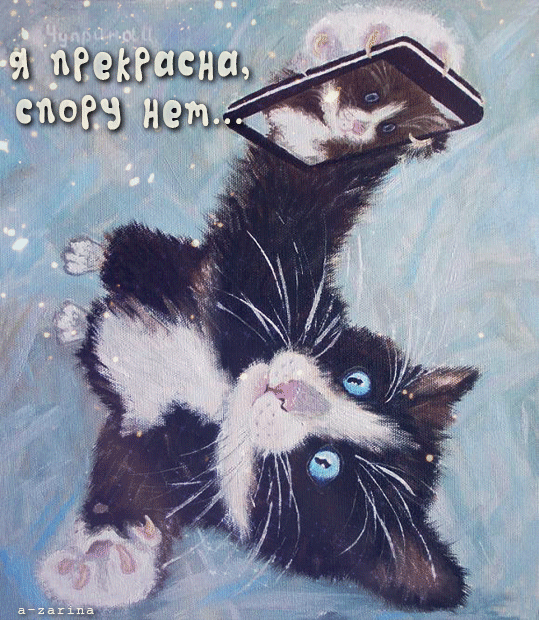 кошка у зеркала~Анимационные блестящие открытки GIF